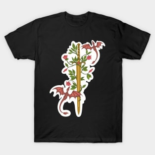 Fighting dragons with you T-Shirt